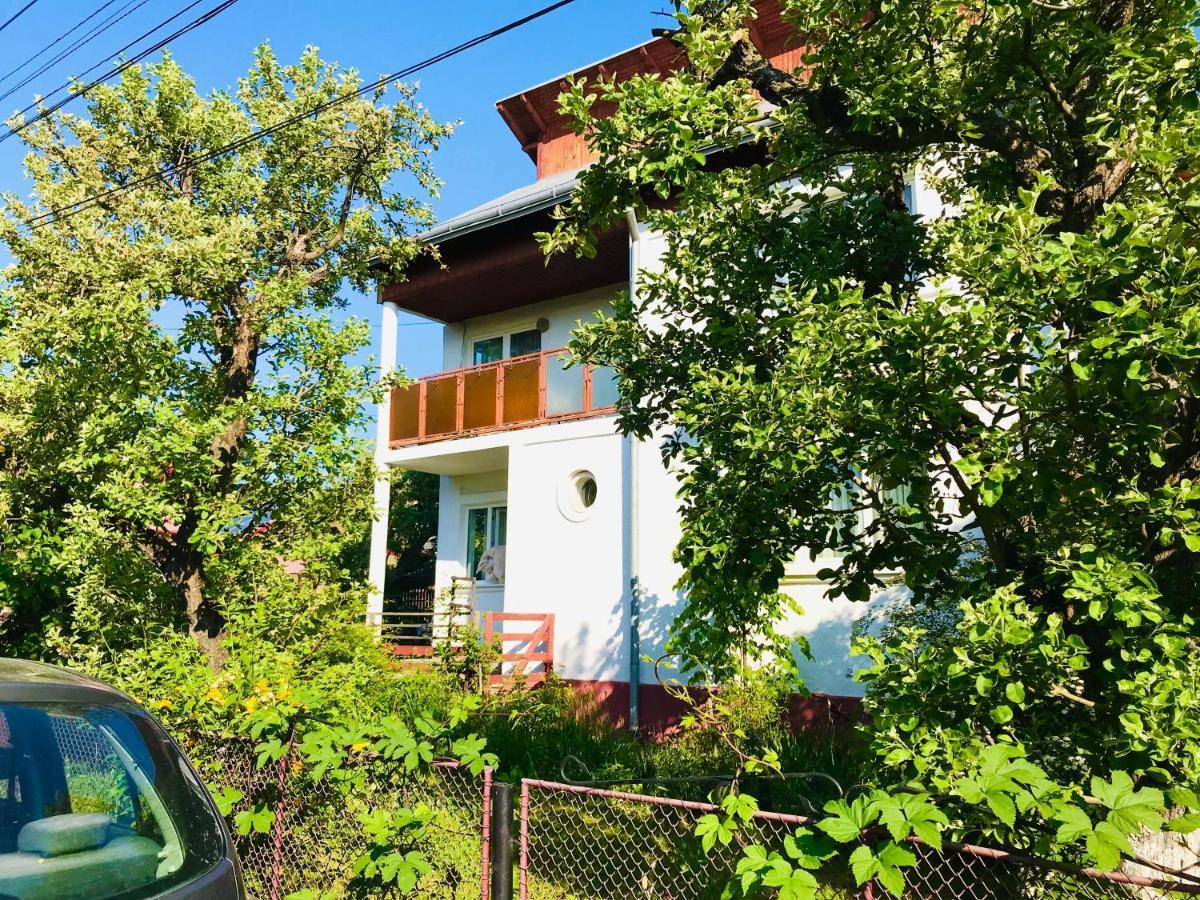 Apartament Vica グラ・フモアルルイ エクステリア 写真