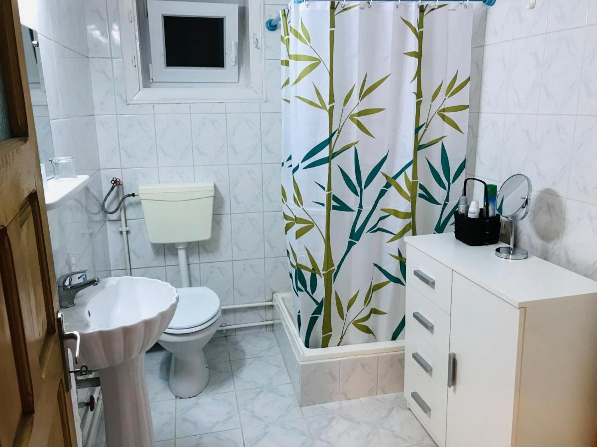 Apartament Vica グラ・フモアルルイ エクステリア 写真