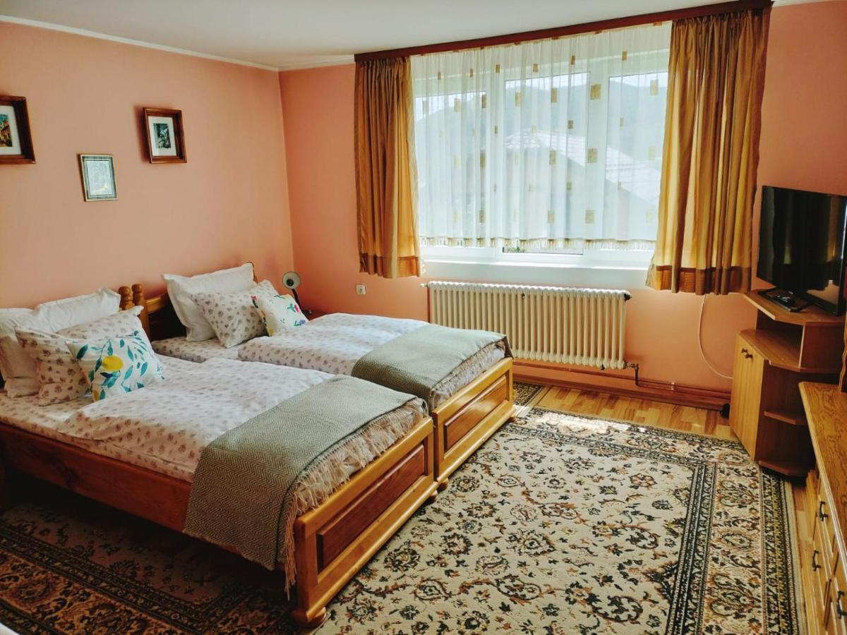 Apartament Vica グラ・フモアルルイ エクステリア 写真